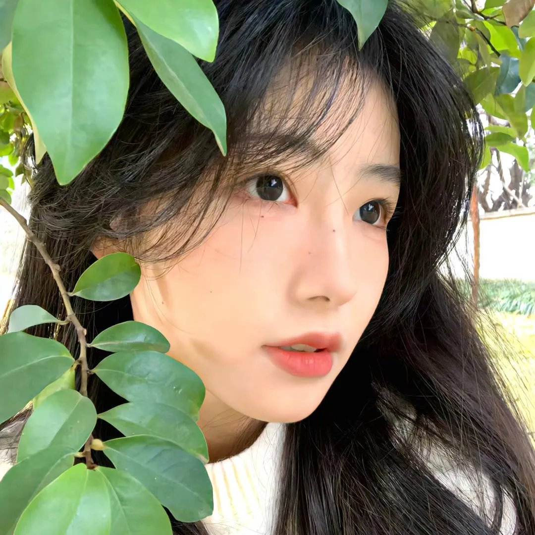 雪中真相